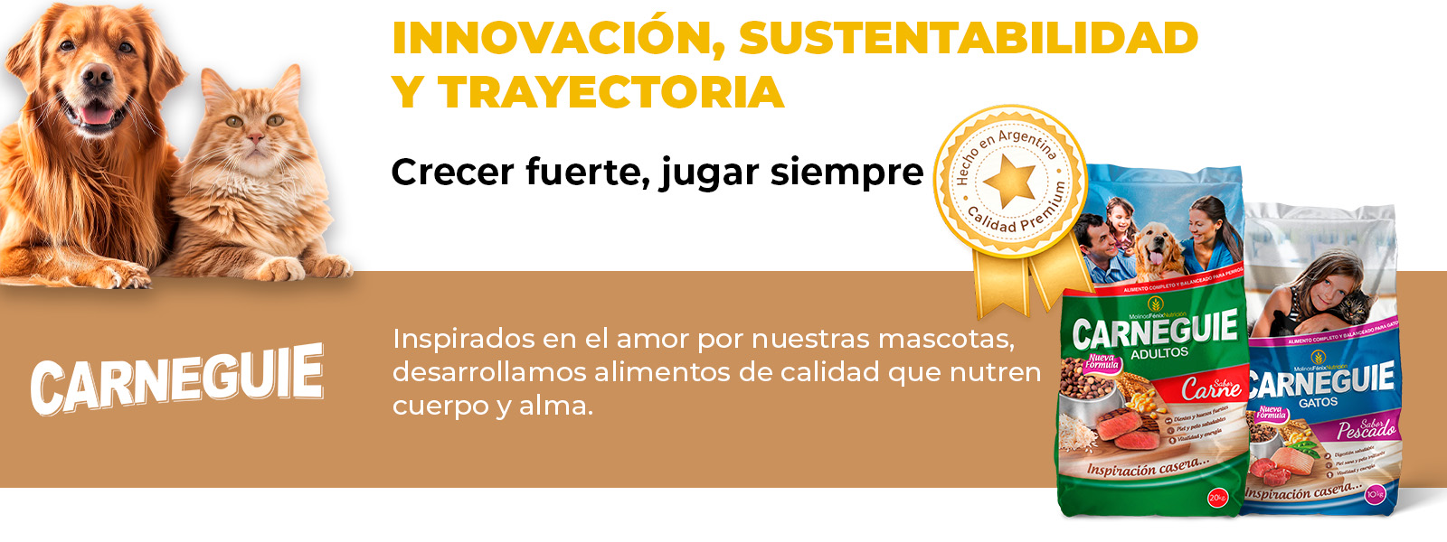 Mesa de trabajo 10