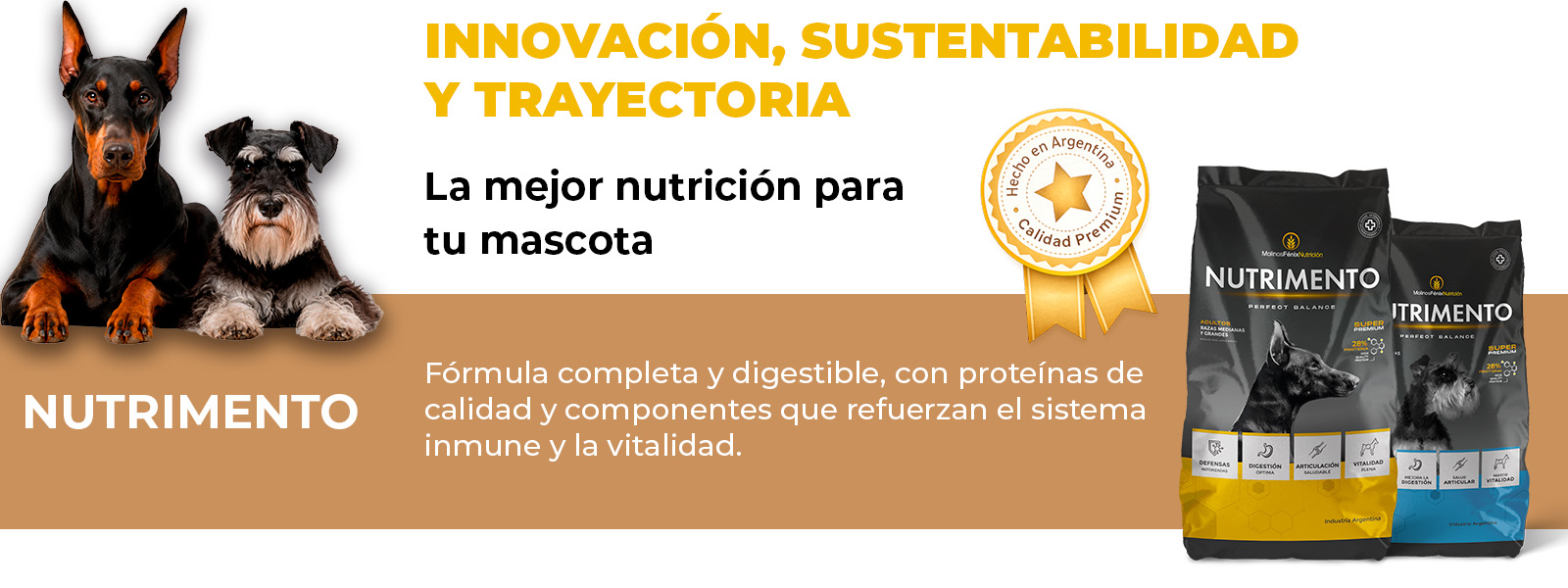 Mesa de trabajo 11