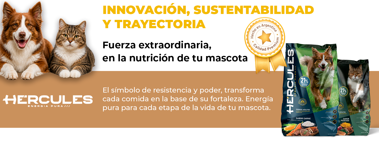 Mesa de trabajo 12